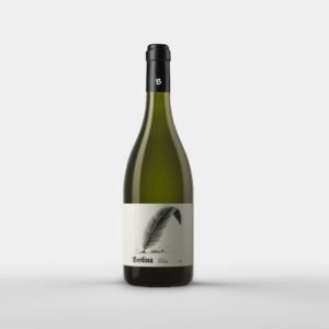 Berlina Torrontes